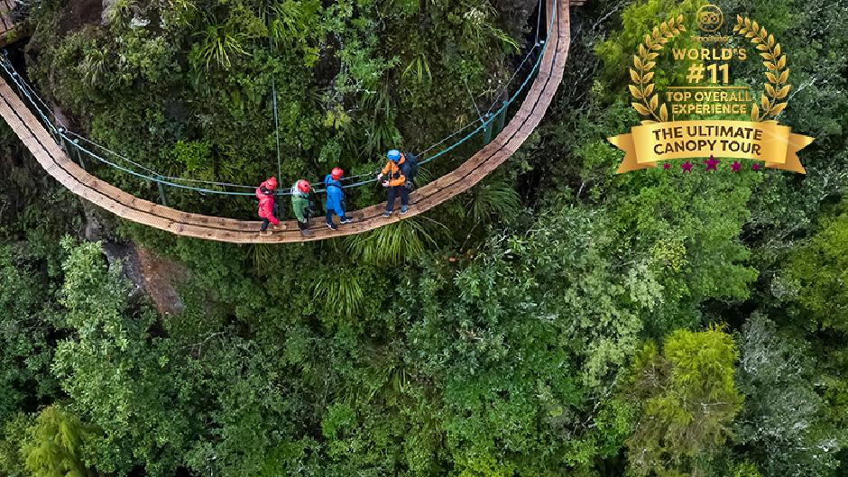 Explore ancient native forest on the Ultimate Canopy Tour - TripAdvisor’s 11th best experience in the world! Soar via ziplines, swingbridges and a suspended cliff walk on this unforgettable adventure!